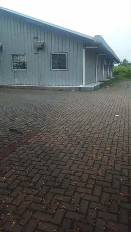 disewakan gudang lokasi jgc cocok untuk stok makanan