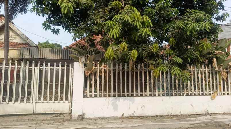 disewakan rumah darmo