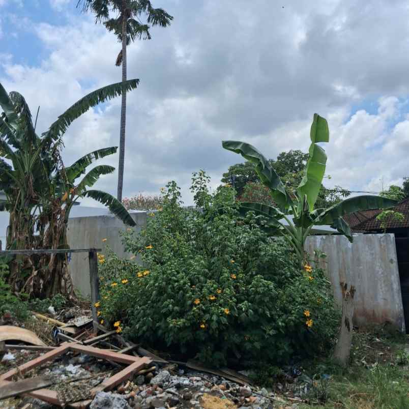 disewakan tanah jl batu belig