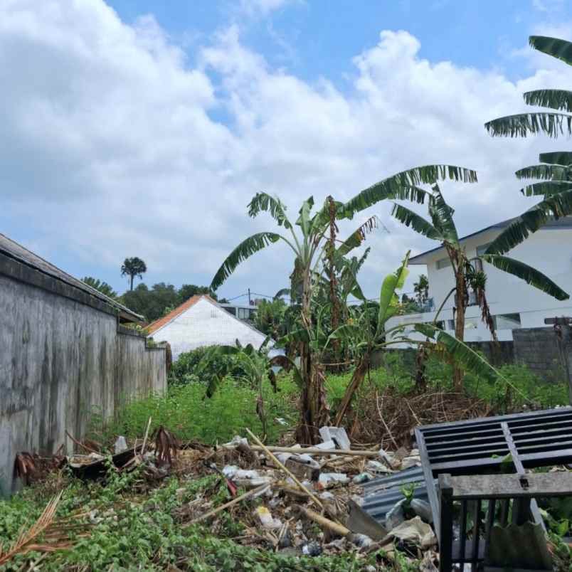 disewakan tanah jl batu belig