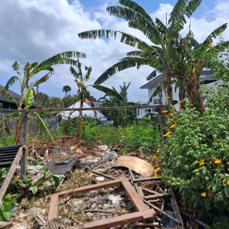 disewakan tanah jl batu belig
