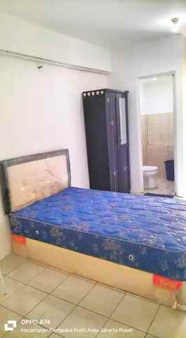 green pramuka studio ff include ipl 2ftwyudha0