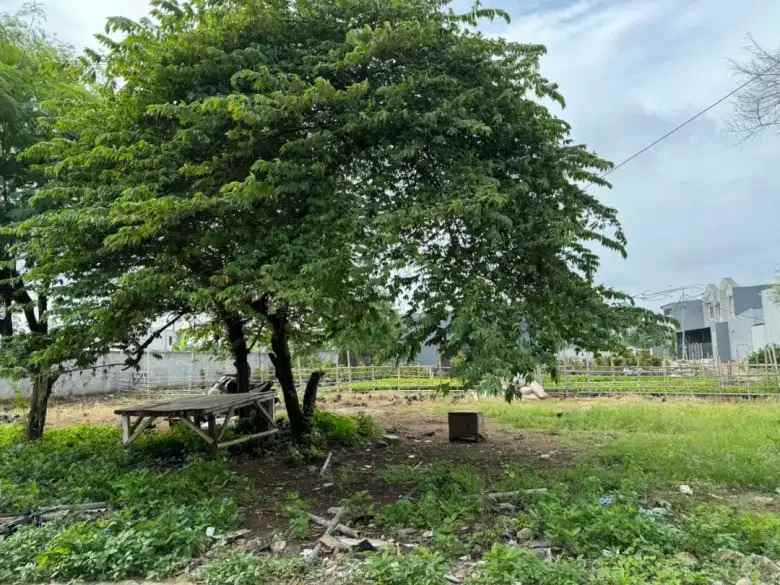 jarang ada tanah karang tengah nego tipis