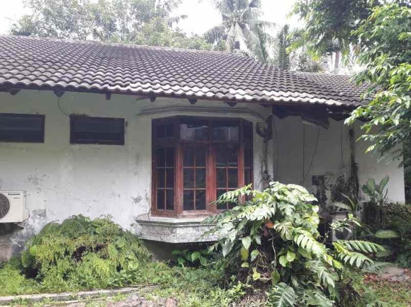 jual rumah melalui lelang luas 2500 meter