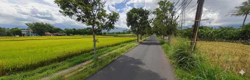 jual sawah milik gugum gumbira alm