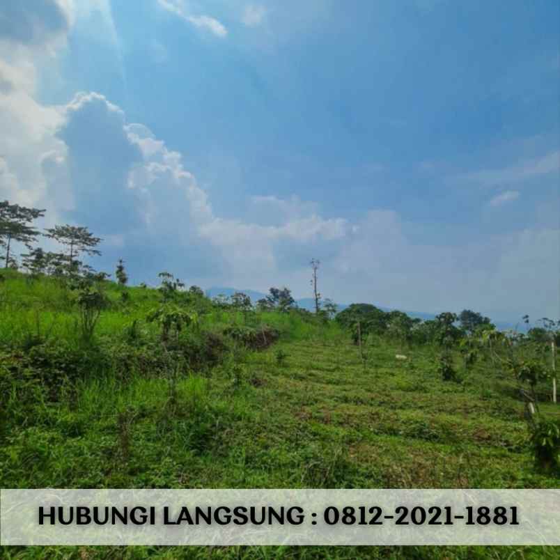 jual tanah murah di bandung