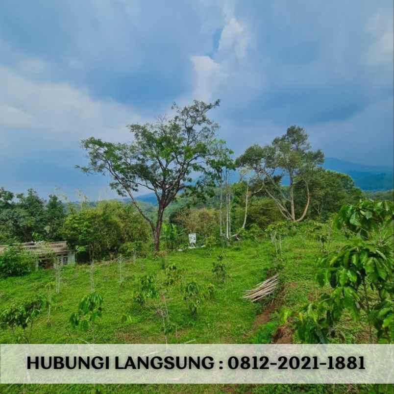 jual tanah murah di bandung