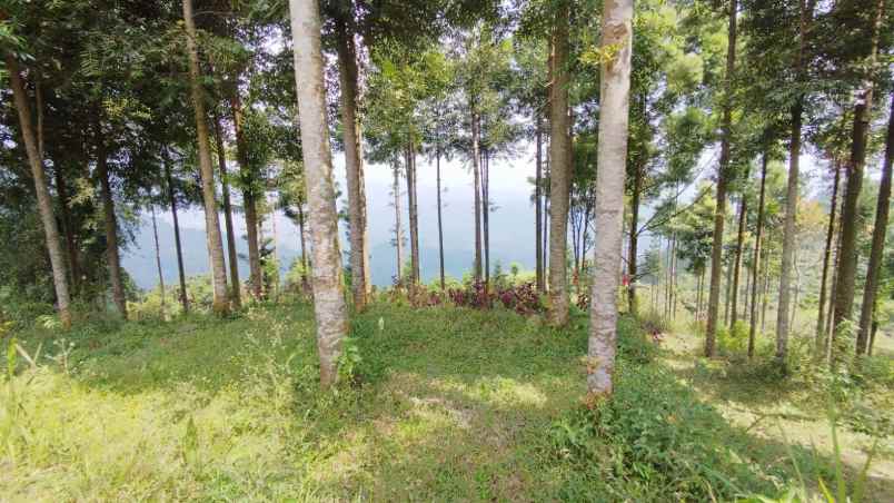 lokasi tanah di mega mendung bogor