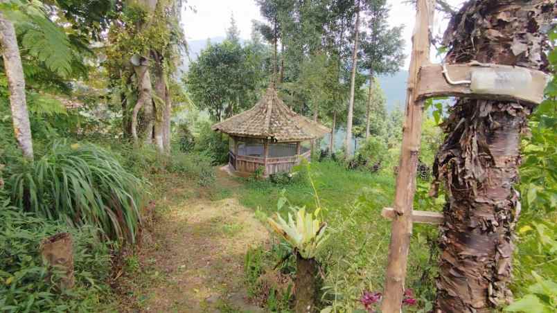 lokasi tanah di mega mendung bogor