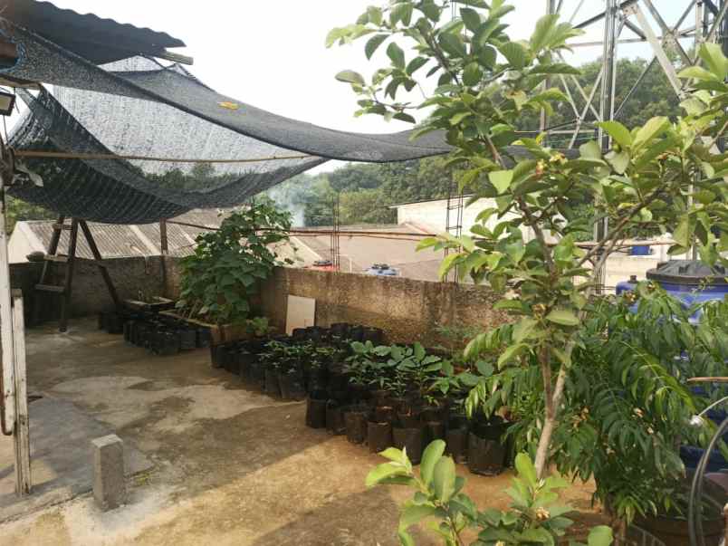 rumah 2 lantai minimalis