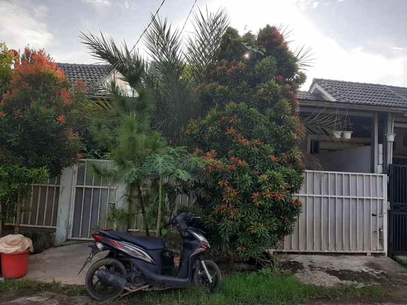 rumah jl sumatera jombang