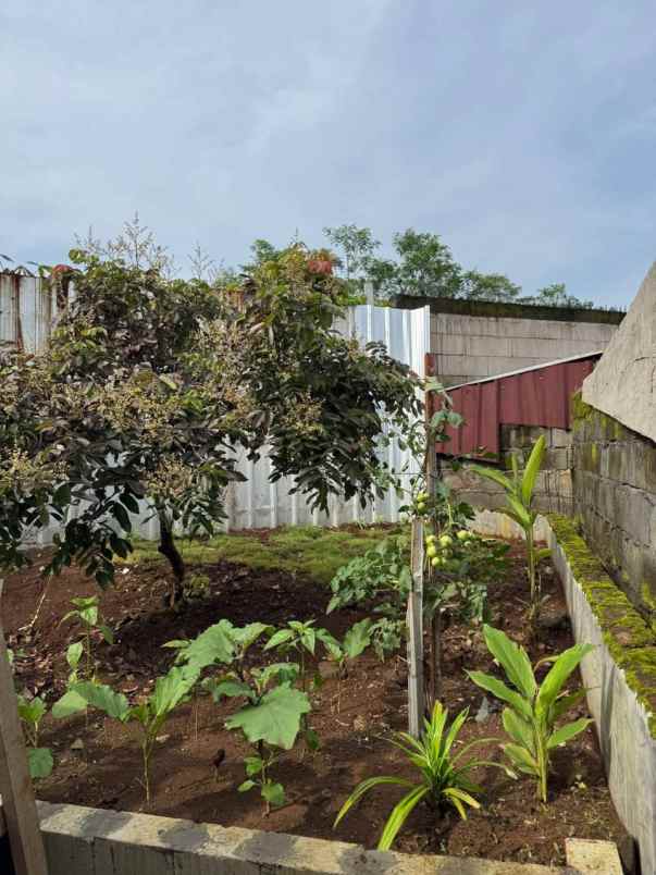 rumah mangunsari gunungpati semarang