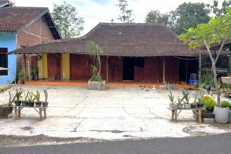 tanah 1010m bonus rumah kedawung sragen