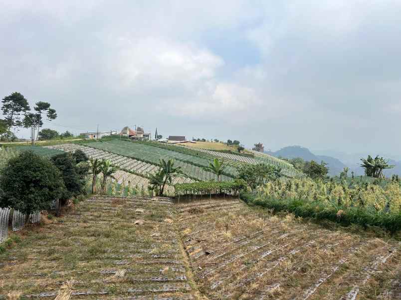 tanah 1033m dekat wisata kemuning sky hills