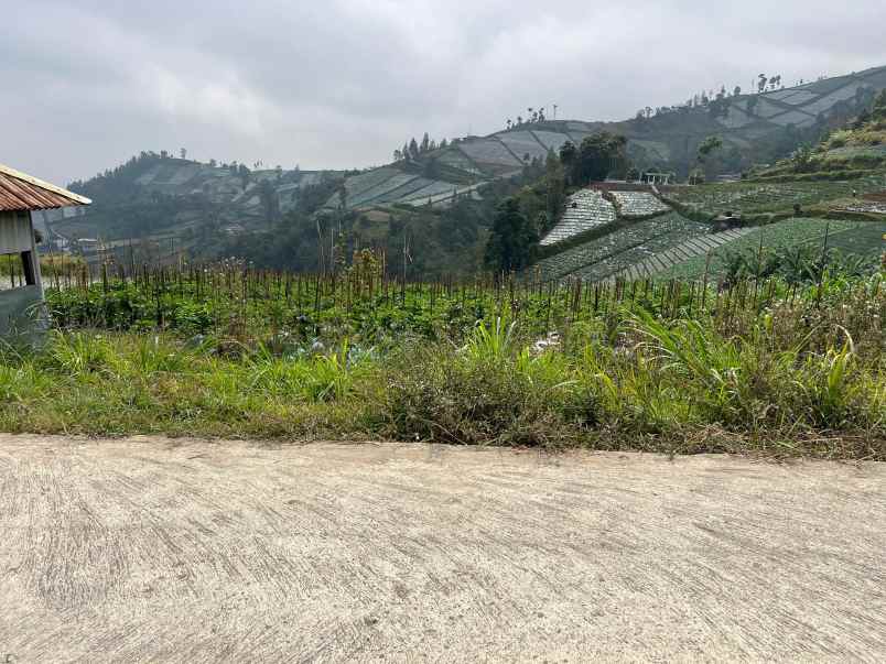 tanah 1500m kawasan wisata candi cetho karanganyar