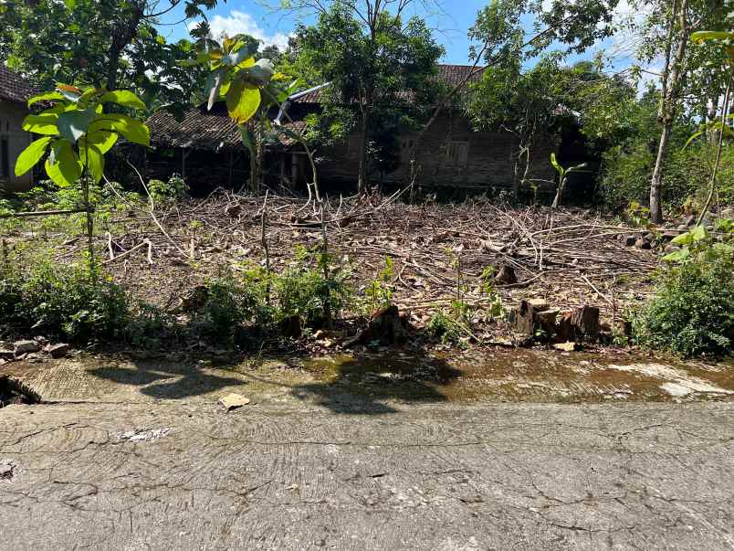 tanah 200 jt cocok untuk hunian mojogedang