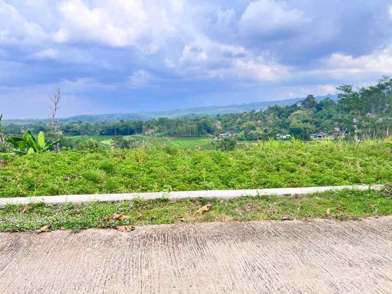 tanah 4121m view hamparan sawah karanganyar