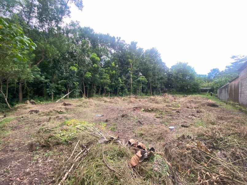 tanah bagus jl jogja wates km 10 bantul yogyakarta