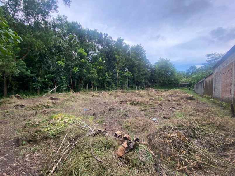 tanah bagus jl jogja wates km 10 bantul yogyakarta