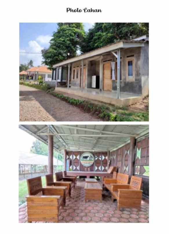 tanah bangunan kandang sapi 1000 ekor