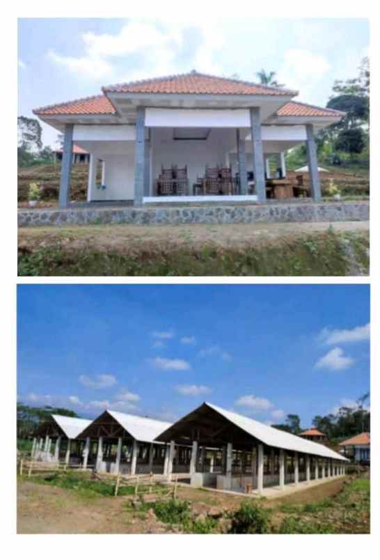 tanah bangunan kandang sapi 1000 ekor