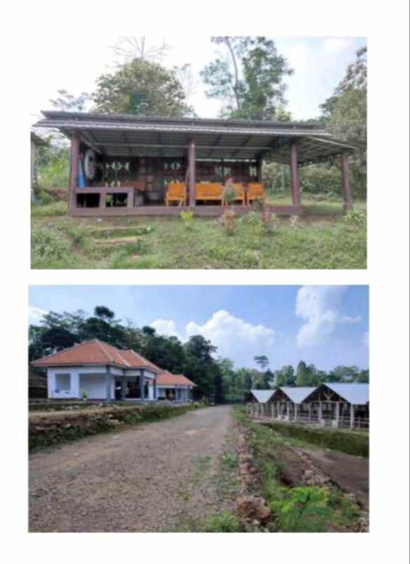 tanah bangunan kandang sapi 1000 ekor