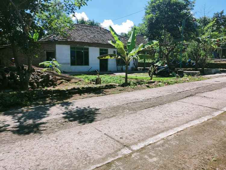 tanah batujamus kedawung sragen