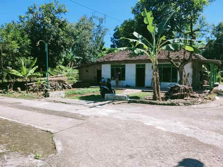 tanah batujamus kedawung sragen