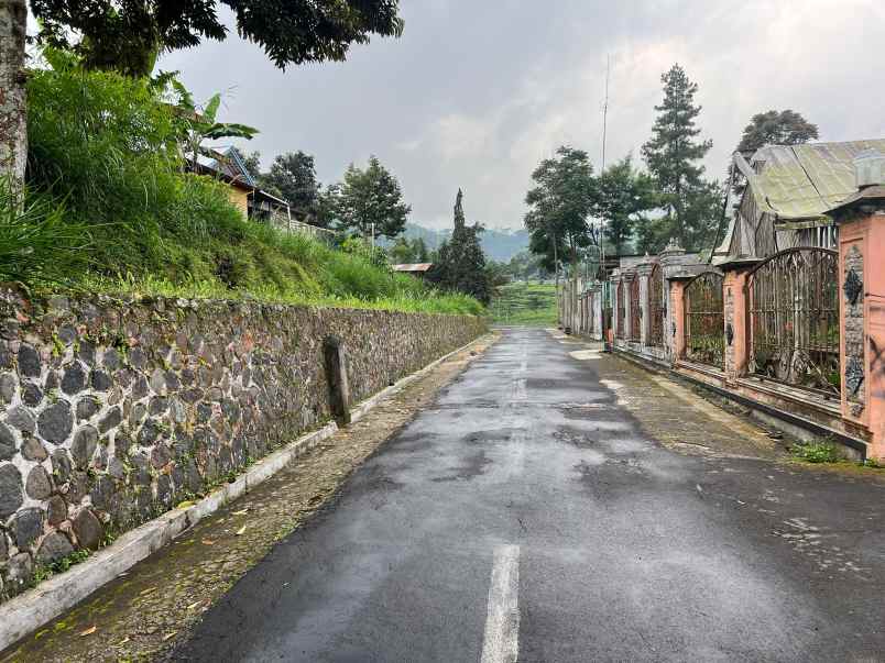 tanah belakang pendopo kopi kemuning 305m
