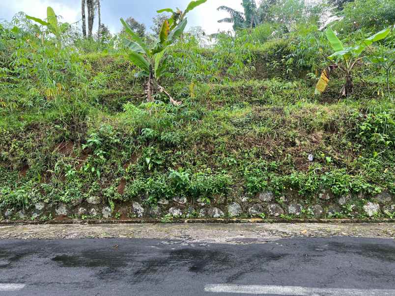 tanah belakang pendopo kopi kemuning 305m