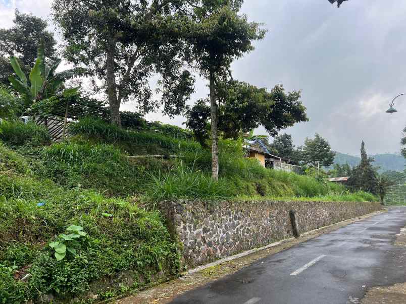 tanah belakang pendopo kopi kemuning 305m