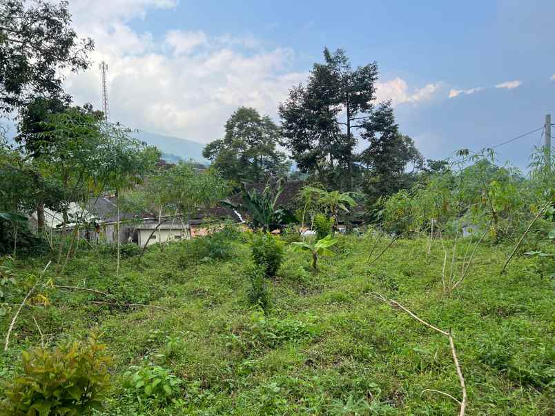 tanah belakang pendopo kopi kemuning 305m