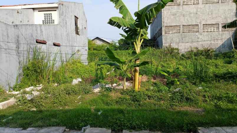 tanah bulak kalitinjang strategis