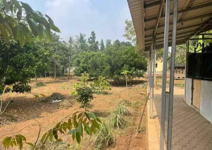 tanah dalung serang banten