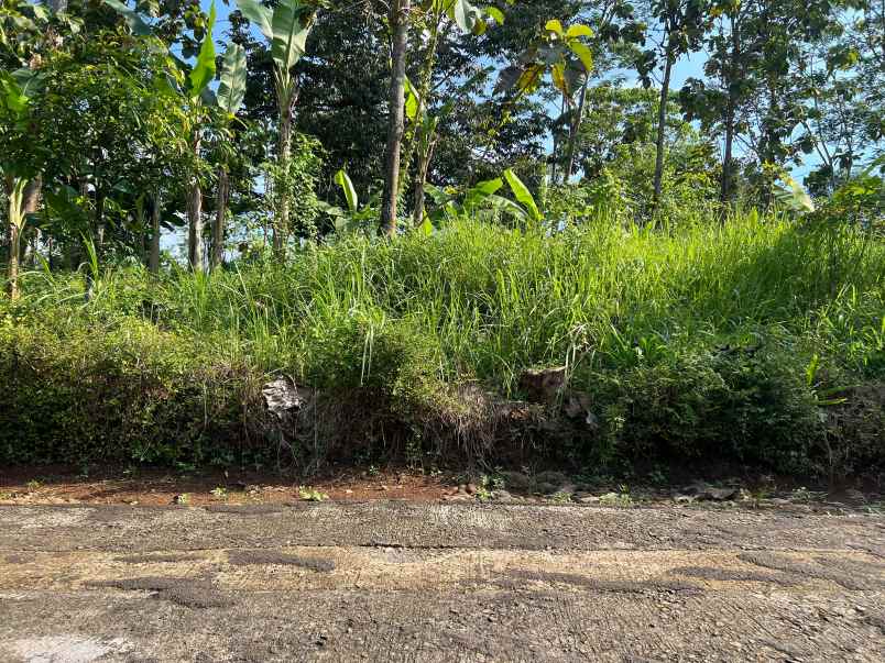 tanah datar hanya 300rb m mojogedang karanganyar