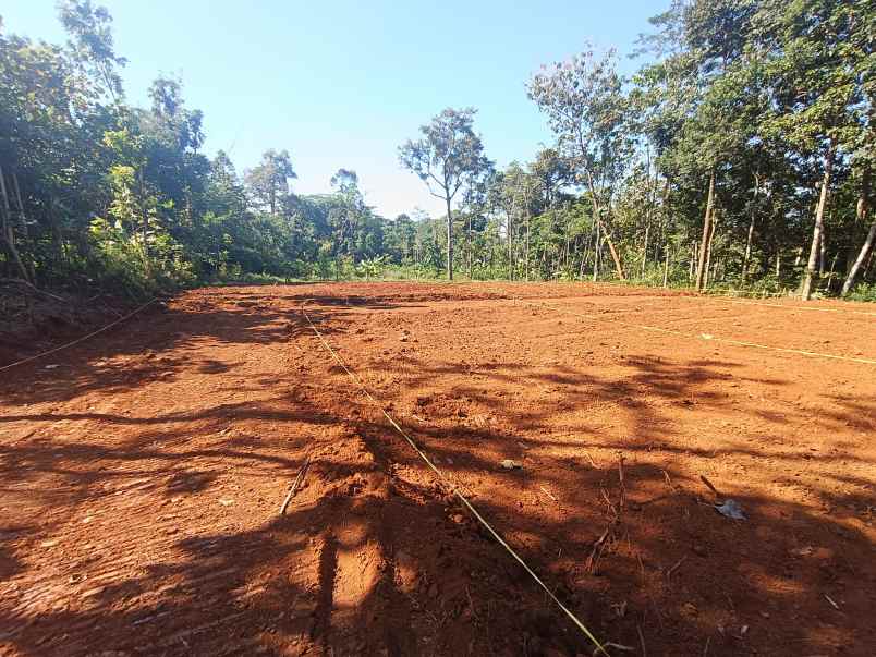 tanah dijual murah di gunungpati kota semarang
