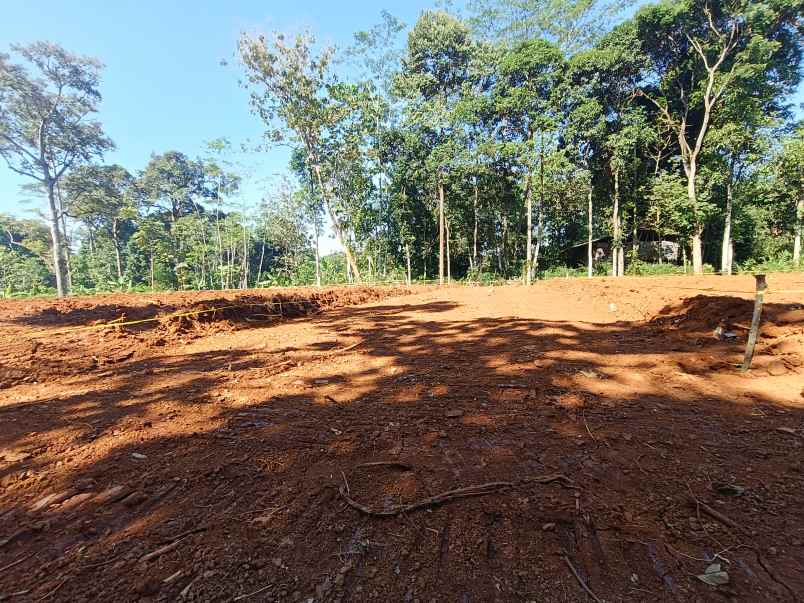 tanah dijual murah di gunungpati kota semarang