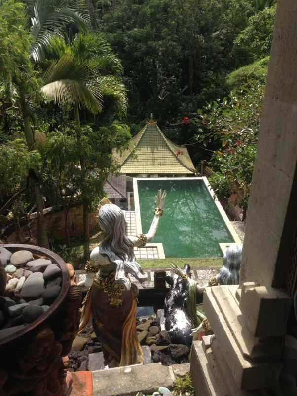 tanah gratis rumah view jungle di keliki ubud bali
