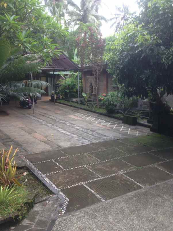 tanah gratis rumah view jungle di keliki ubud bali