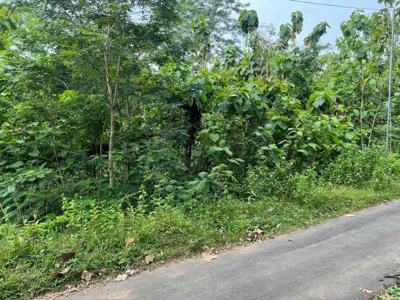 tanah hook 1175m siap bangun sambirejo sragen