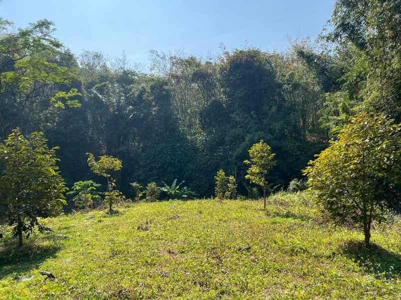 tanah idaman 1018m dekat sungai karanganyar