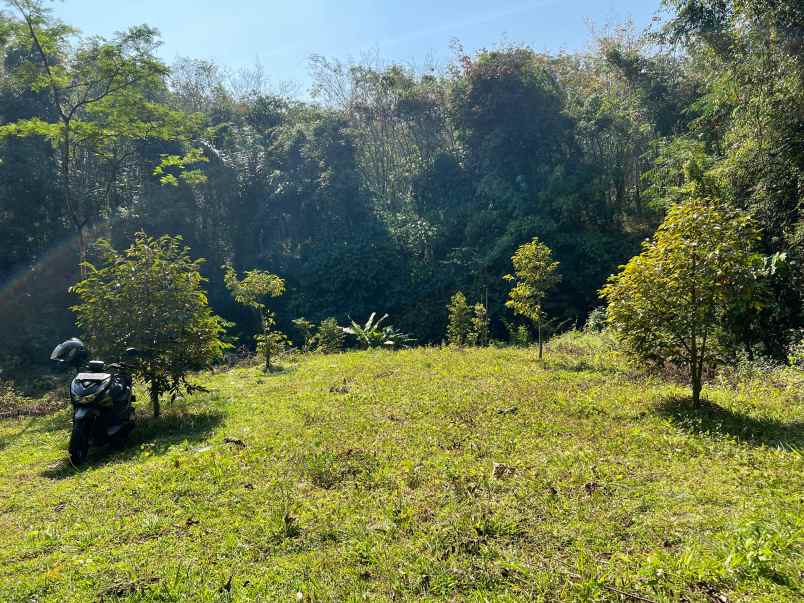 tanah idaman 1018m dekat sungai karanganyar