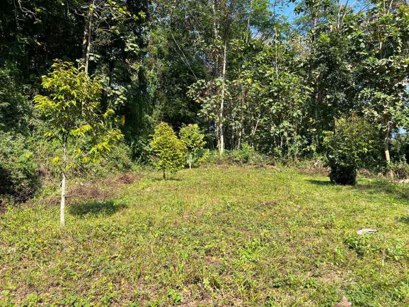 tanah idaman 1018m dekat sungai karanganyar