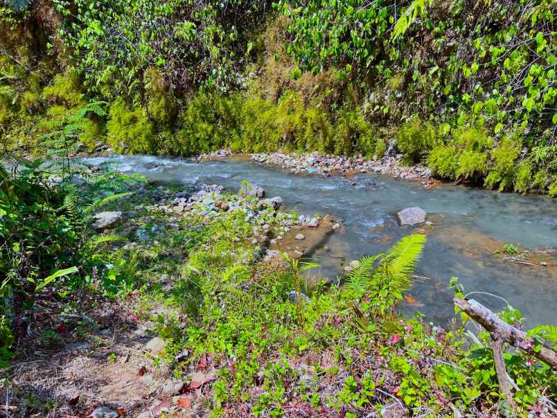 tanah idaman 1018m dekat sungai karanganyar