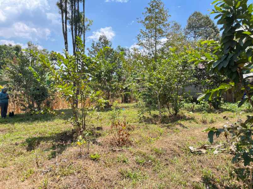tanah investasi strategis 300m2 kemuning karanganyar