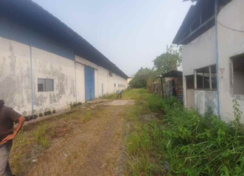 tanah jl raya balaraja 7400m2 shgb bawah pasaran