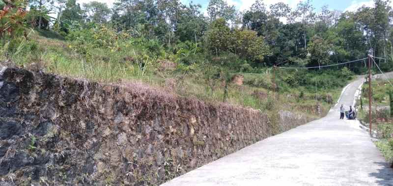 tanah karangpandan karanganyar