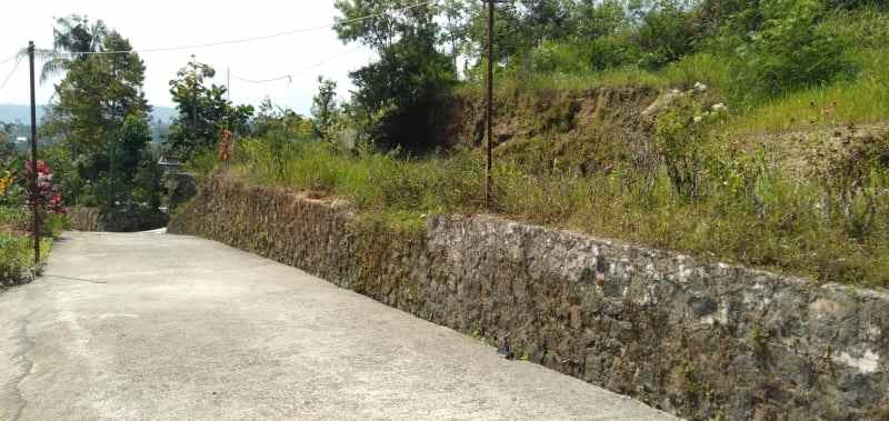 tanah karangpandan karanganyar