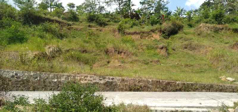 tanah karangpandan karanganyar