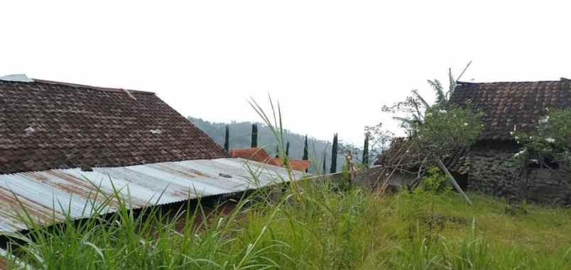 tanah kawasan wisata alam